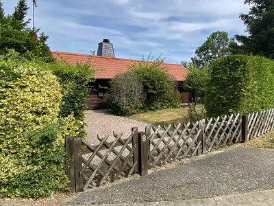 ViewSummer