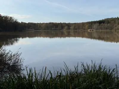 Ferienhaus für 4 Personen (80 m²) in Sulzdorf an der Lederhecke 6/10