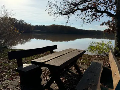 Ferienhaus für 4 Personen (80 m²) in Sulzdorf an der Lederhecke 7/10
