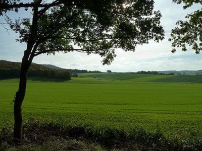 Ferienhaus für 5 Personen (70 m²) in Sulzfeld 5/10