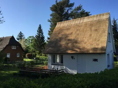 Ferienhaus für 3 Personen (60 m²) in Stahlbrode 3/10