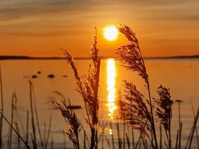 Ferienhaus für 2 Personen (38 m²) in Sundhagen 1/10