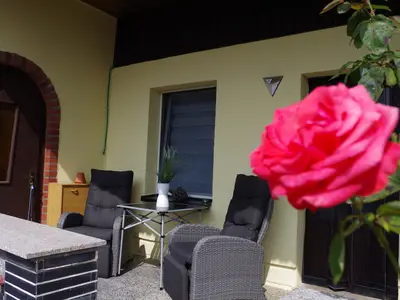 Ferienhaus für 2 Personen (38 m²) in Sundhagen 9/10