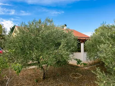 Ferienhaus für 7 Personen in Supetar 4/10