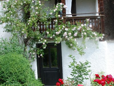 Ferienhaus Altes Pfarrhaus - Garteneingang