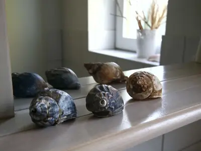 Ferienhaus für 4 Personen (70 m²) in Heringsdorf 10/10