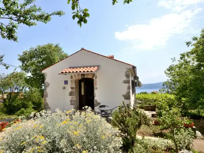 Ferienhaus für 2 Personen (27 m²) in Sveta Jelena 1/10