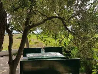 Ferienhaus für 4 Personen (55 m²) in Sveti Filip i Jakov 2/10