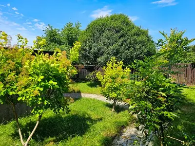 Ferienhaus für 16 Personen (200 m²) in Swinemünde 2/10