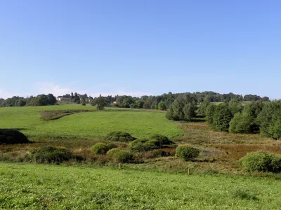 ViewSummer