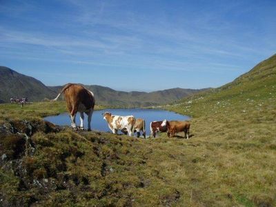 Naturpark Riedingtal