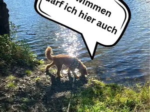 Ferienhaus für 3 Personen (25 m²) in Tanna