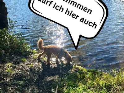 Ferienhaus für 3 Personen (25 m²) in Tanna 1/10