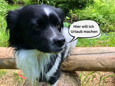 Ferienhaus für 3 Personen (25 m²) in Tanna 3/10