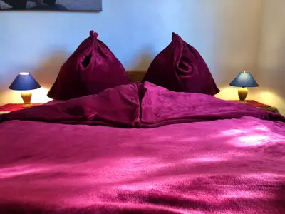 Ferienhaus für 3 Personen (25 m²) in Tanna 5/10