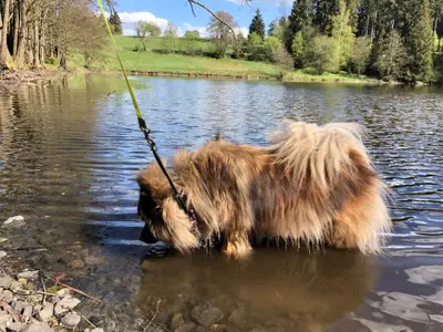Ferienhaus für 3 Personen (25 m²) in Tanna 7/10