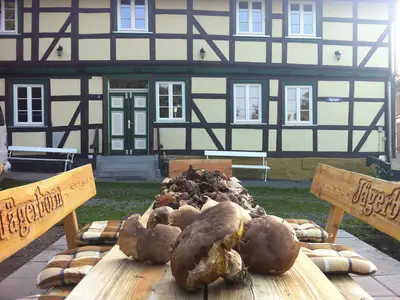 Ferienhaus für 14 Personen (180 m²) in Tanne 2/10