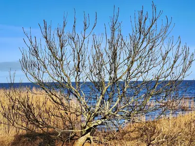 WaterView