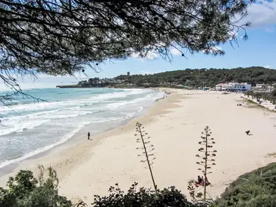 beach