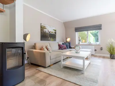 Kamin-/Ofen