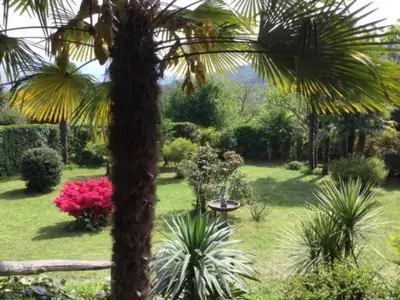 Blick von der Terrasse