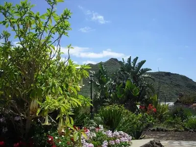 Ferienhaus für 2 Personen (35 m²) in Tegueste 8/10