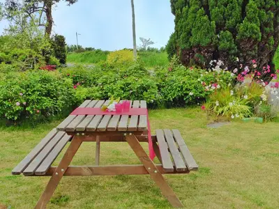 GardenSummer