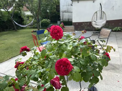 Terrasse und Garten