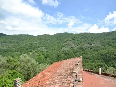 ViewSummer