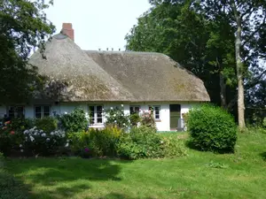Ferienhaus für 2 Personen (60 m²) in Tetenbüll