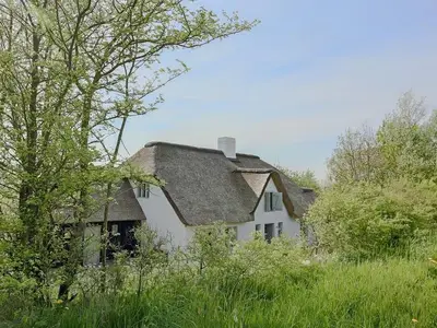 Achter de Diek in Tetenbüll: idyllische Alleinlage