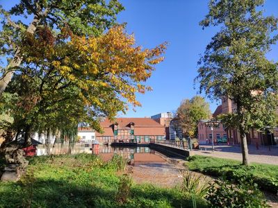 Ferienhaus für 6 Personen (110 m²) in Teterow 7/10