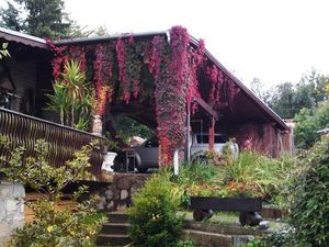 Ferienhaus für 3 Personen (35 m²) in Thale