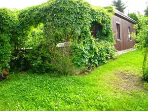 Ferienhaus für 4 Personen (50 m²) in Neinstedt