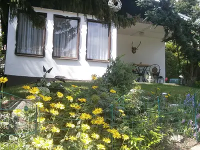 Haus am Wald