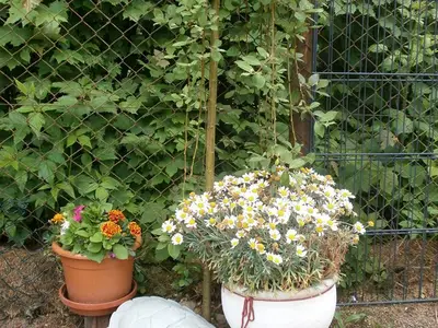 Liebevolle Details im Garten