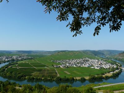 Moselschleife bei Trittenheim