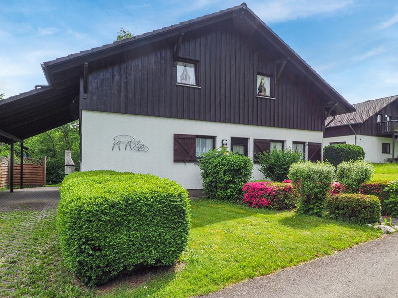 23720017-Ferienhaus-6-Thalfang-800x600-0