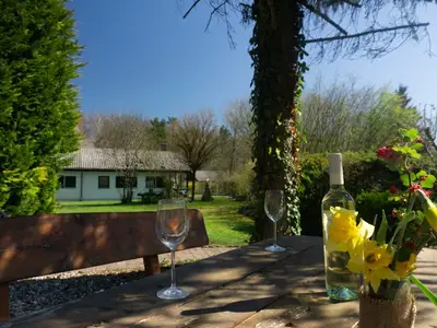 Ferienhaus für 4 Personen (75 m²) in Thalfang 5/10