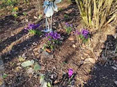 Ferienhaus für 4 Personen (75 m²) in Thalfang 7/10