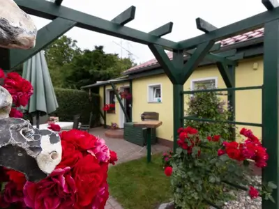 Ferienhaus für 4 Personen (50 m²) in Thesenvitz 2/10