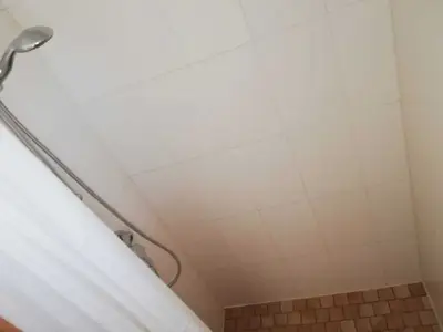 Ferienhaus für 4 Personen (75 m²) in Thesenvitz 9/10