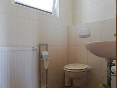 Ferienhaus für 4 Personen (75 m²) in Thesenvitz 8/10