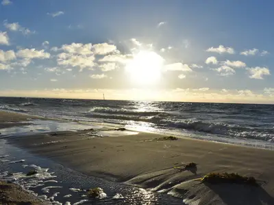 Ferienhaus für 4 Personen (72 m²) in Thiessow 5/10