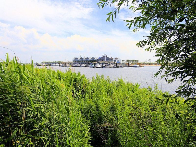 Natur&comma; Wasser und Erholung Oesterdam Zeeland