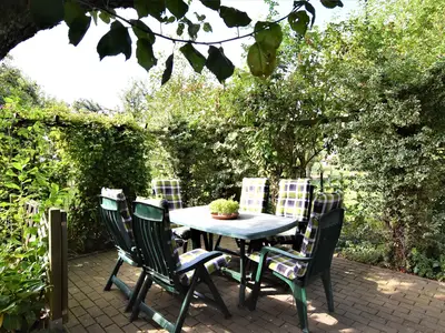 GardenSummer
