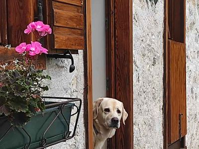 Ferienhaus für 4 Personen (50 m²) in Tiarno Di Sotto 8/10