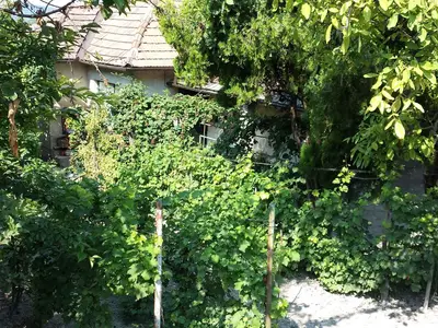 Ferienhaus für 5 Personen (67 m²) in Tihany 4/10