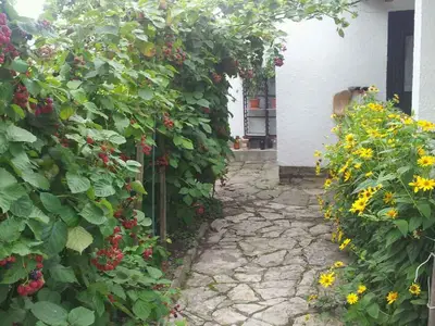 Ferienhaus für 5 Personen (67 m²) in Tihany 7/10
