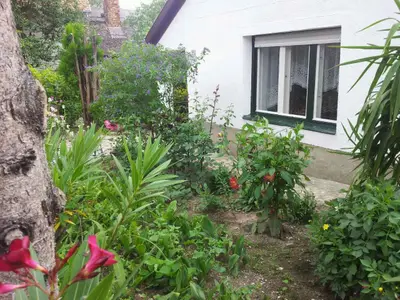 Ferienhaus für 5 Personen (67 m²) in Tihany 10/10
